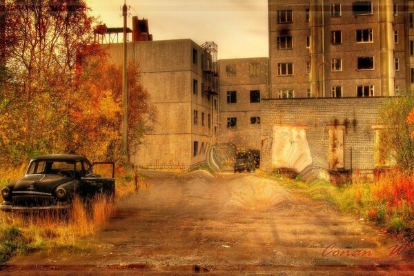 Colorful autumn in deserted Chernobyl