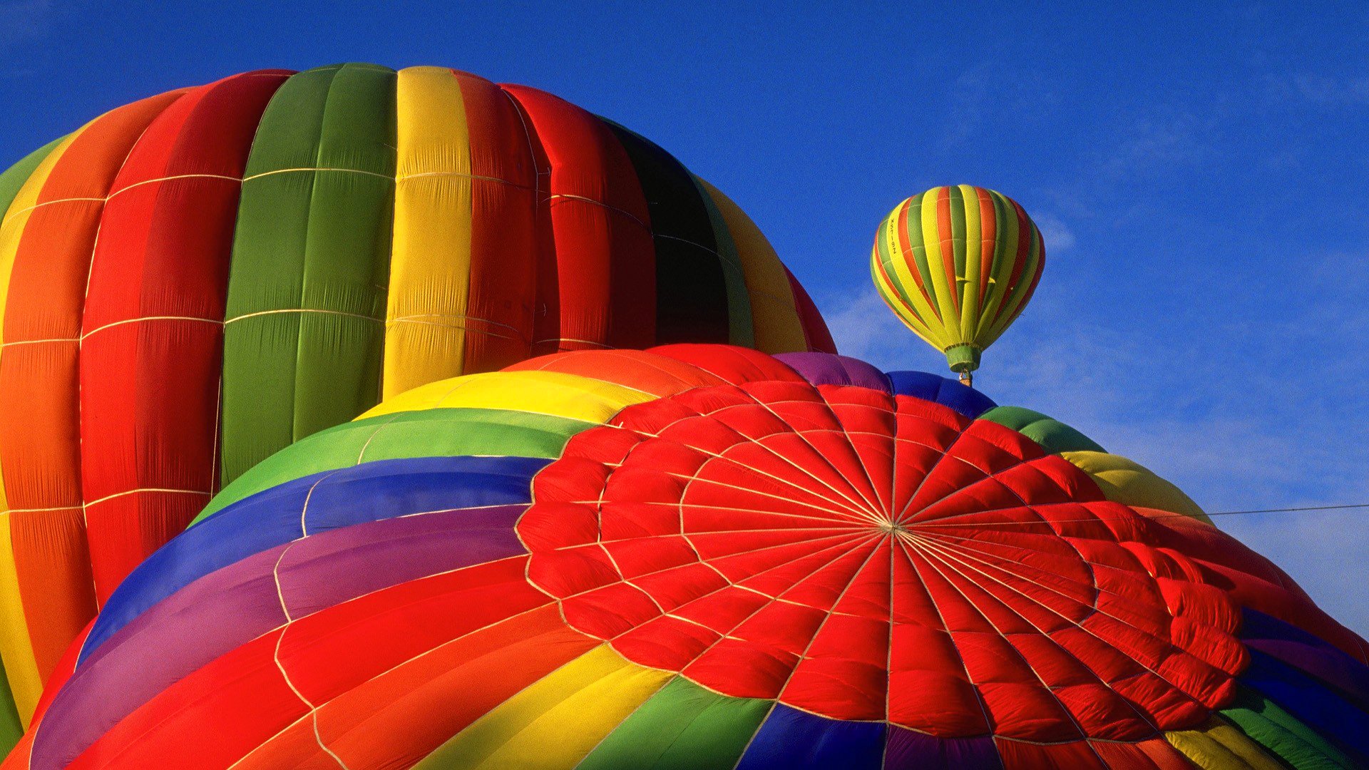 ky flight balloon flowers of the strip