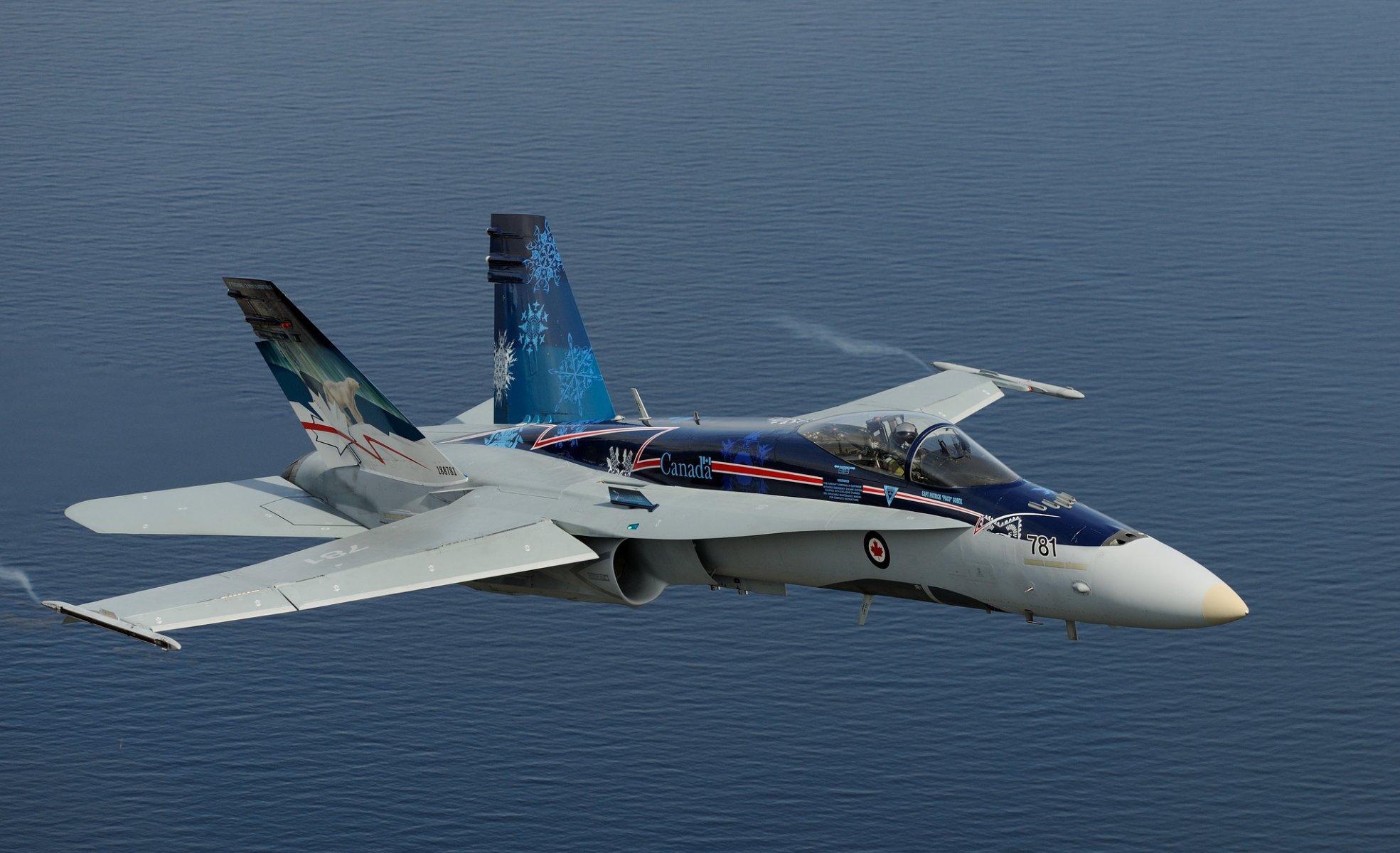 cf-18 frelon polyvalent combattant