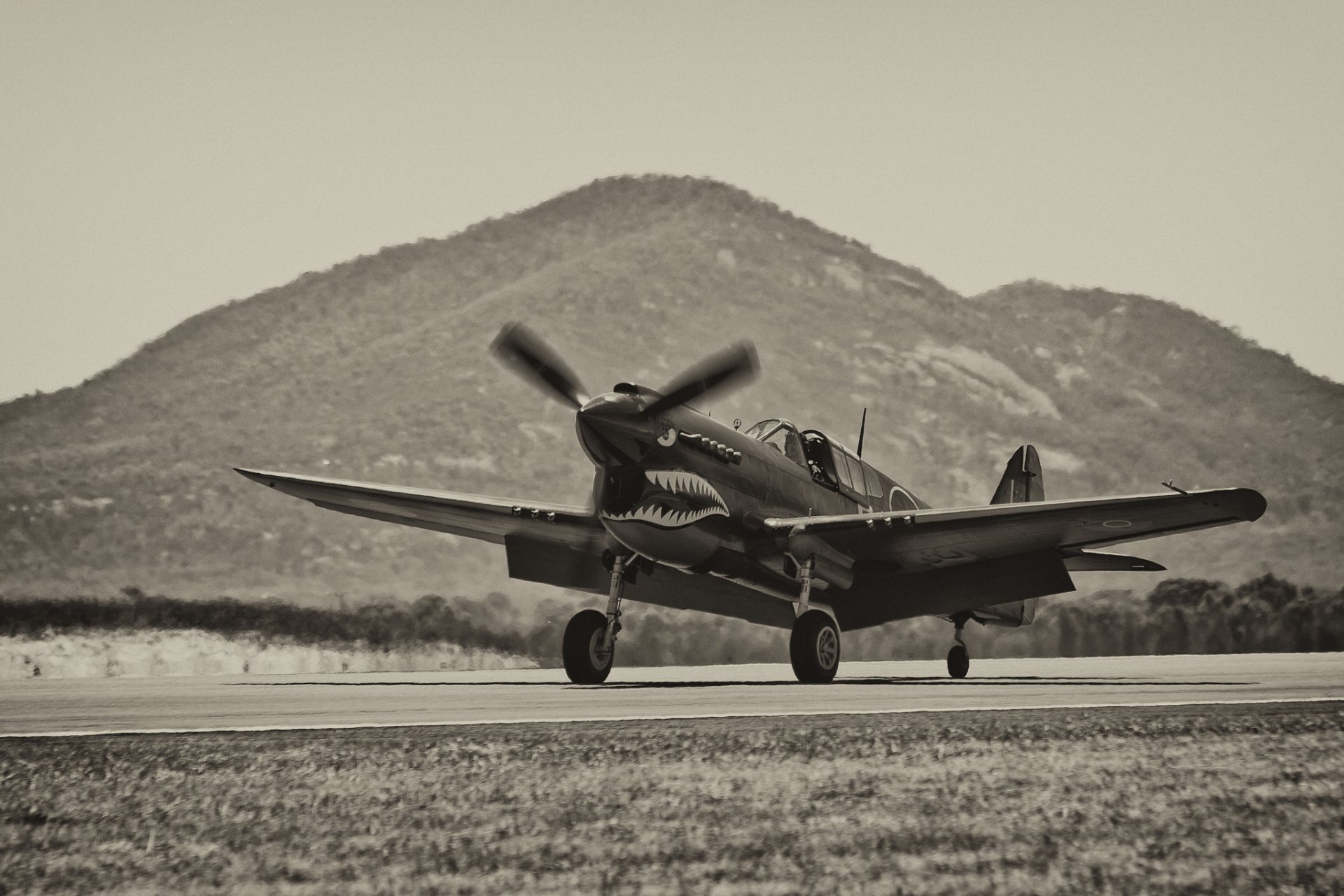 p-40 warhawk fighter airport