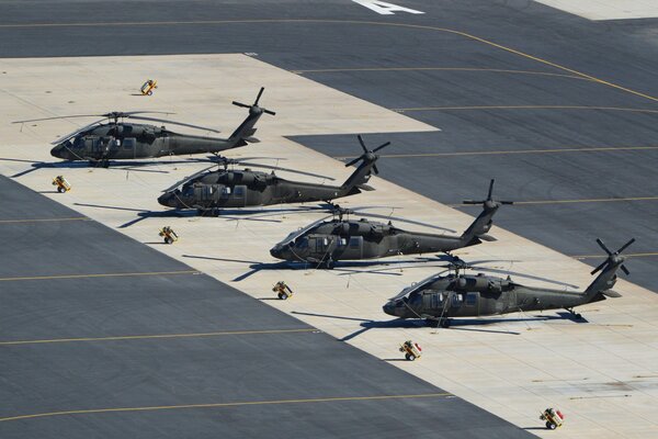 Libélulas en el aeródromo de BLACK Hawk