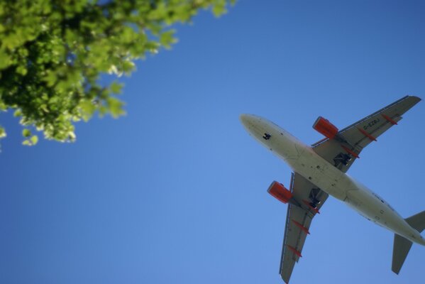 Avión en el cielo en tiempo claro