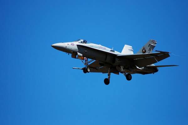 Der Hornet-Bomberflieger fliegt in den blauen Himmel