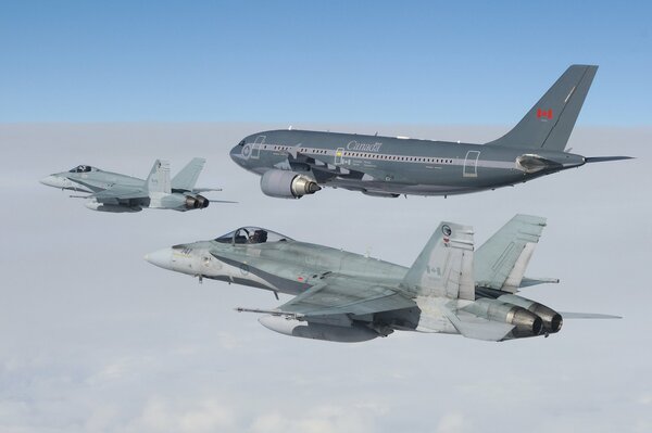 Acompañamiento de vuelo Avispón aviones de combate