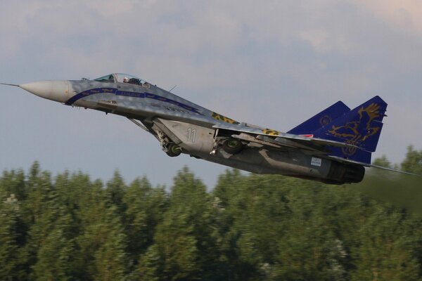 Multi-purpose mig-29 fighter on takeoff over trees