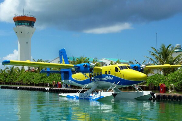 Hermoso avión amarillo y azul