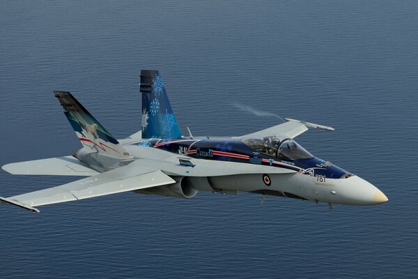 A fighter plane is flying over the ocean