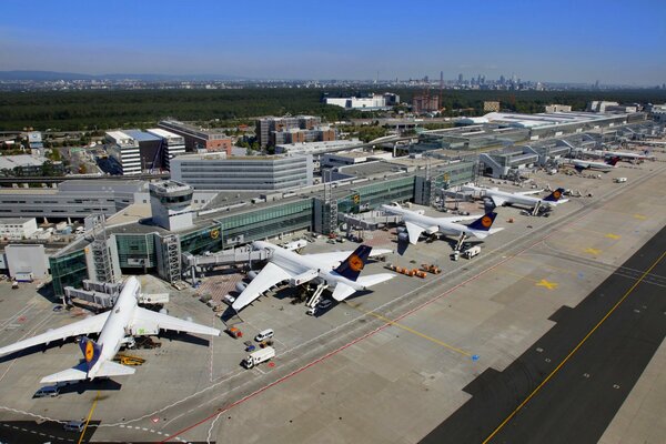 Civil aircraft parked at the airport