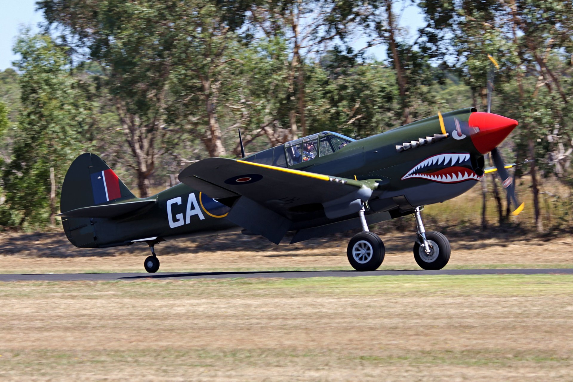 military historical club airplane curtiss p-40 curtiss american single-engine fighter kitihok warhawk tomahawk armament machine guns 6x 7 mm world war II great britain bokeh airshow private collection retro