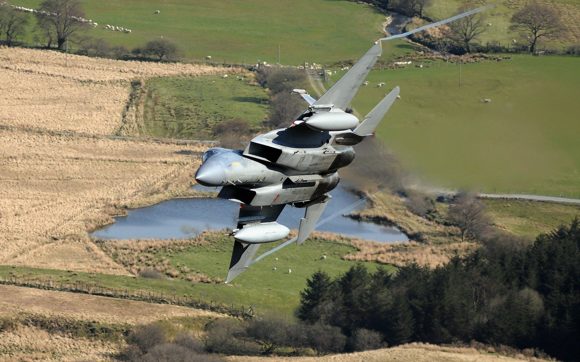 f-15 avión armas