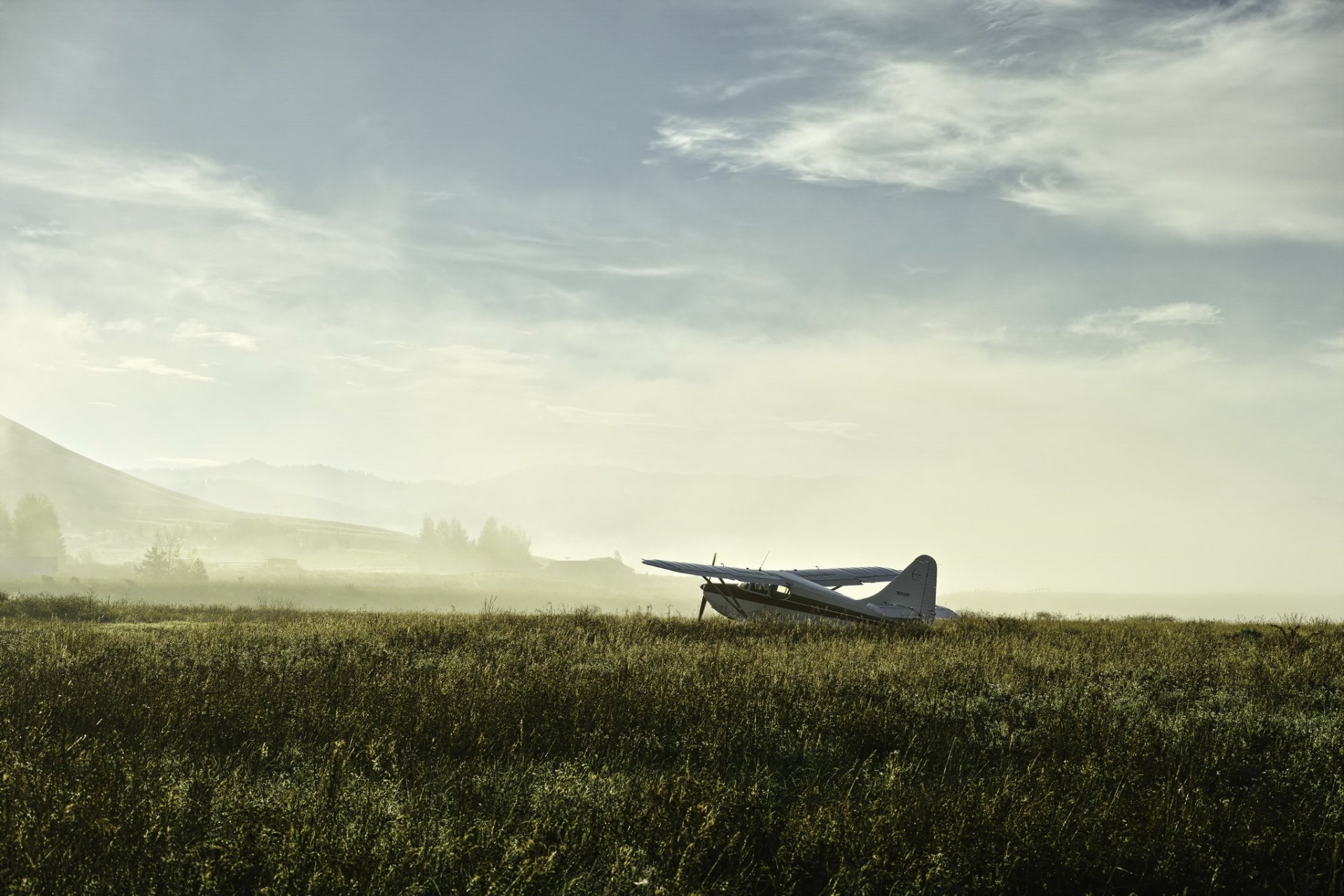 flugzeug feld nebel