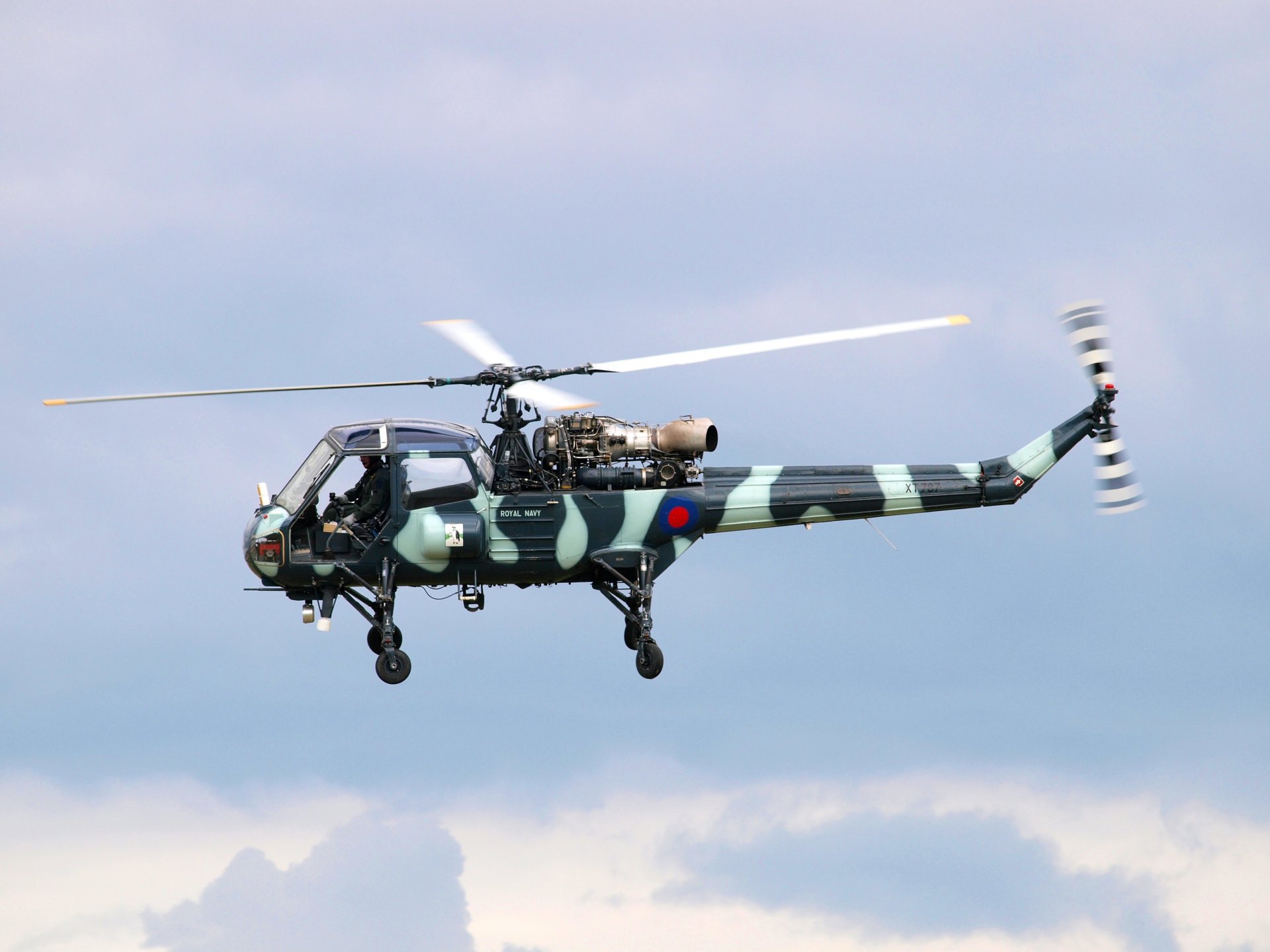 westland scout britisch mehrzweck militär