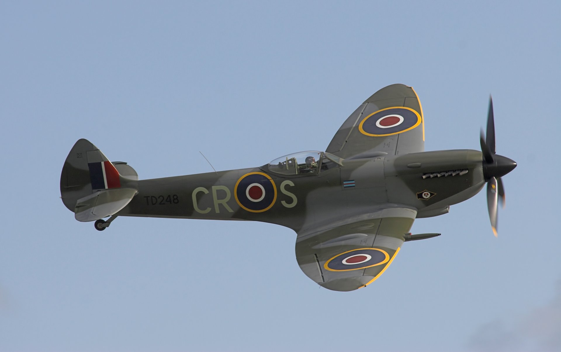 supermarine spitfire chasseur anglais de la seconde guerre mondiale armée de l air britannique