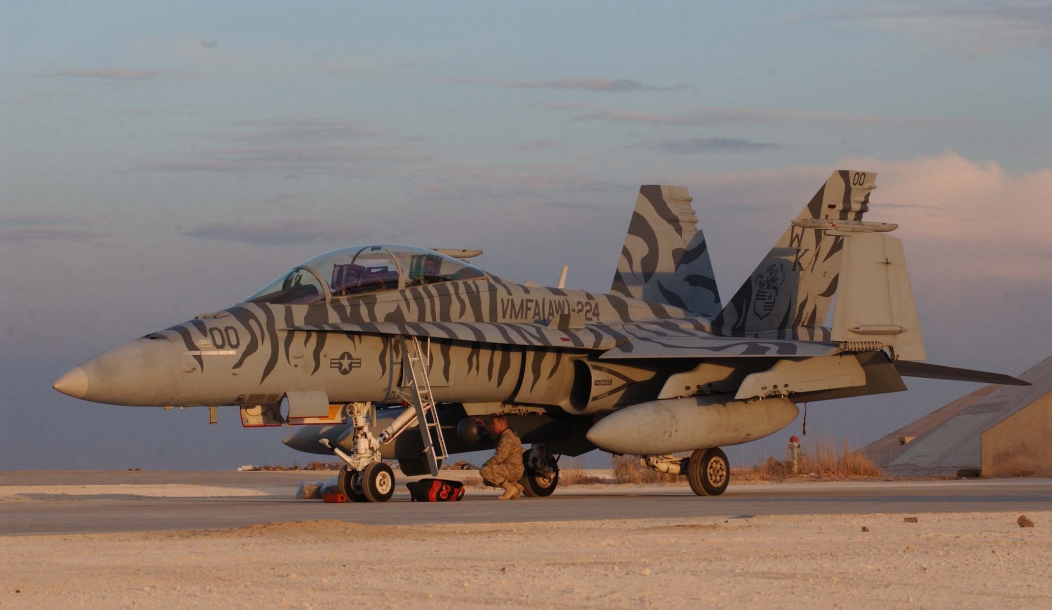 McDonnell douglas f / a-18D hornet usa al asad airbase carrier-based fighter-bomber attack aircraft camouflage