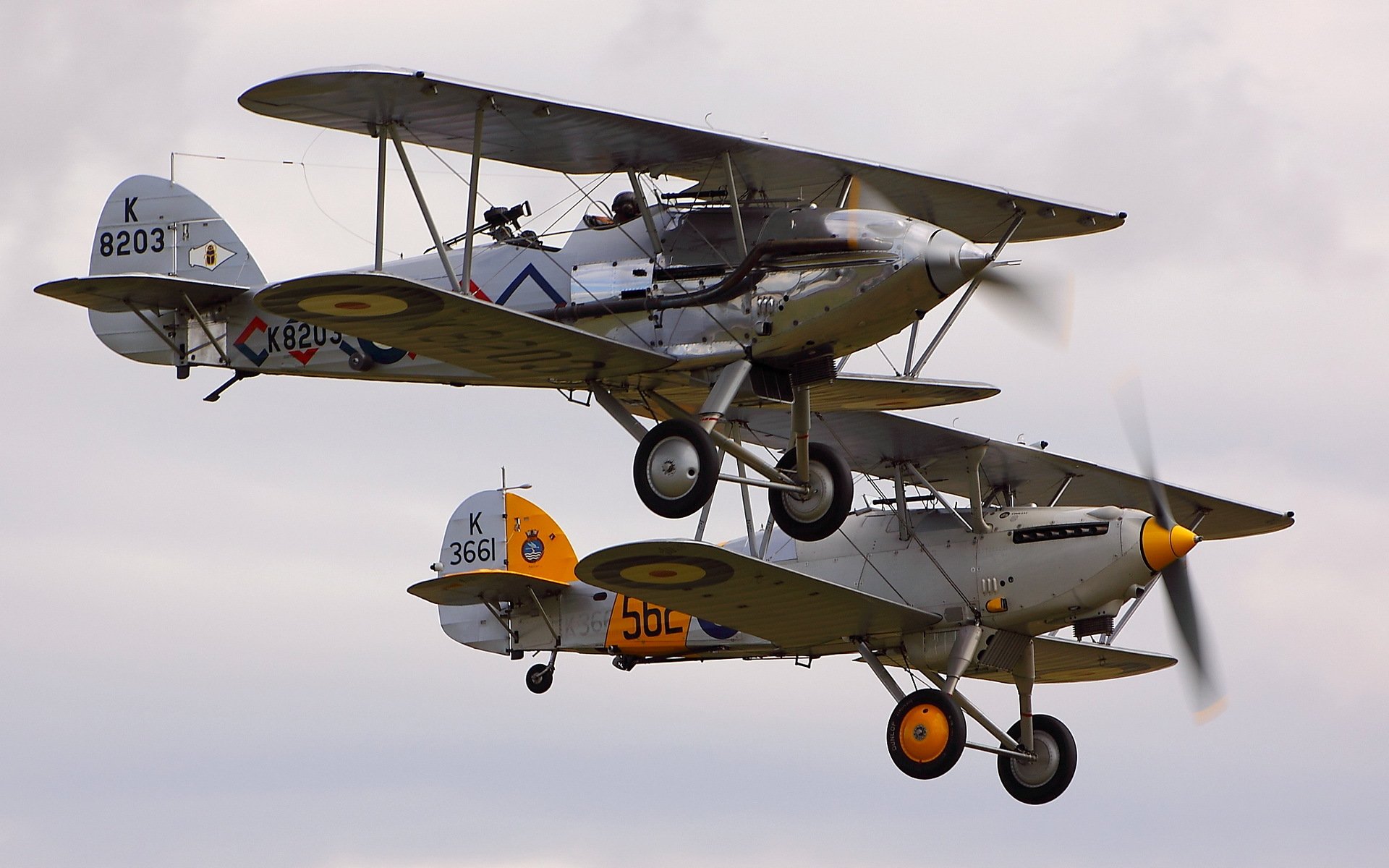 hawker demon nimrod