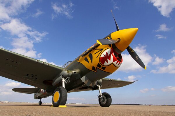 A painted fighter jet with a propeller against the sky
