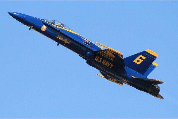 Blue Angels fighter jet in the air