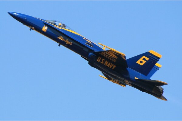 Le chasseur bleu des Blue Angels dans les airs