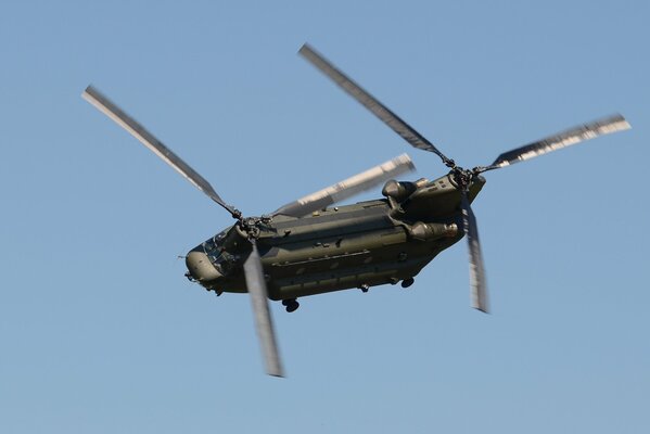 Canadian military transport helicopter CH-47F in flight