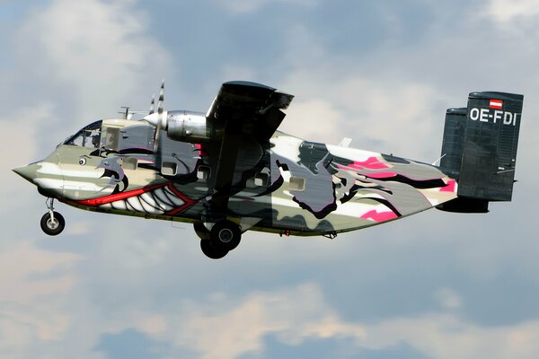 Avion de transport volant dans les nuages