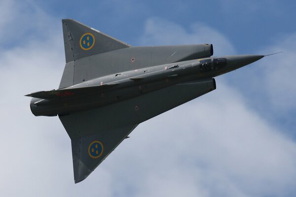 Supersonic fighter with crowns on the wings