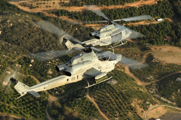 Coppia di elicotteri militari che volano sopra la terra