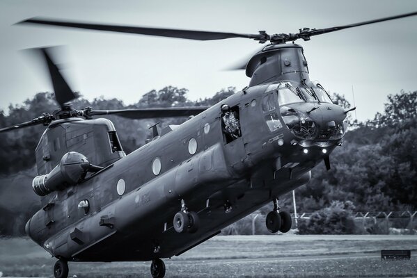 L elicottero militare da trasporto Chinook esegue l atterraggio