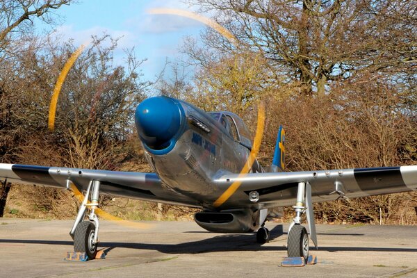 Mustang mit eingeschaltetem Propeller