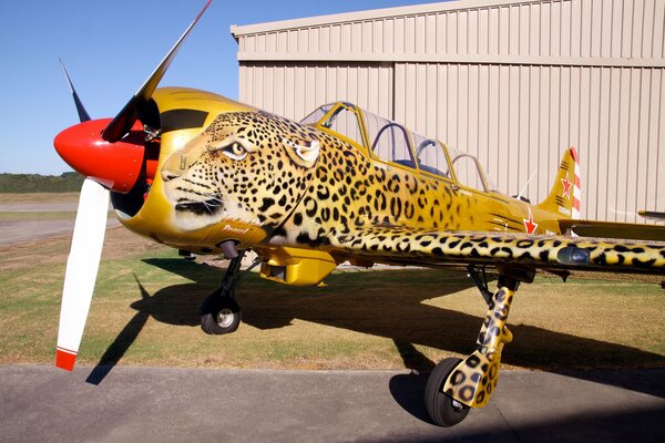 Das Sammlerflugzeug Yak-52 in Form eines Leoparden