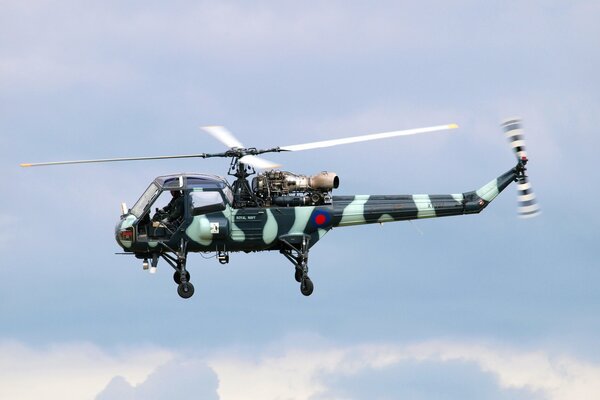 Helicóptero militar británico con pintura de camuflaje, vuelo de helicóptero
