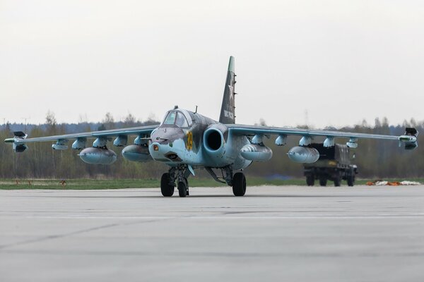 Attack aircraft at the airfield near the forest