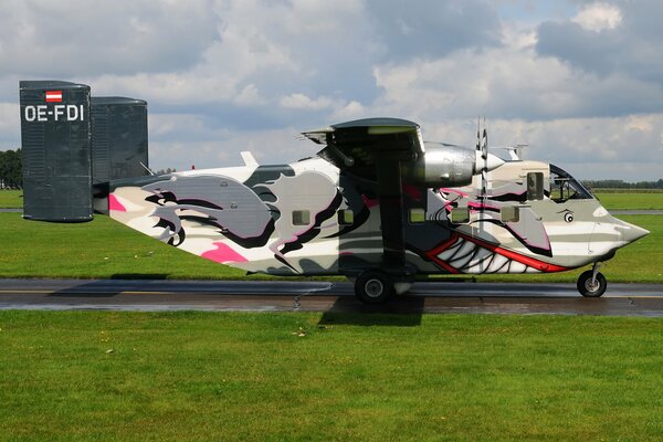 Avion avec art de requin à l aérodrome