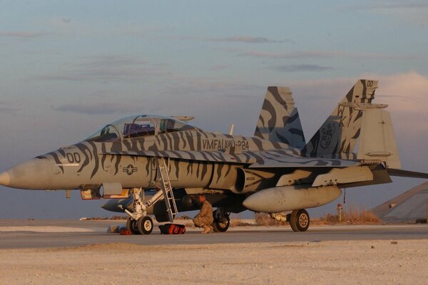 Camouflage-colored fighter-bomber