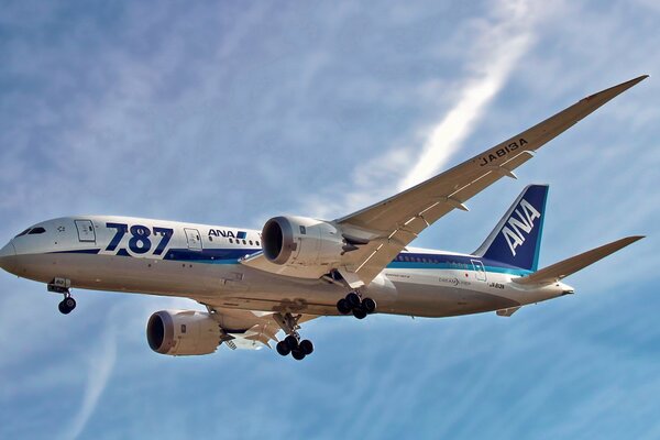 The Boeing 787 is flying against the blue sky