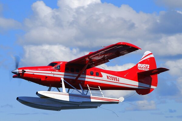 Light, single-engine aircraft, DHC - 3 otter, flaunts in the sky