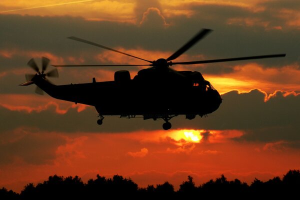 The Sea king transport helicopter flies in the sunset sky