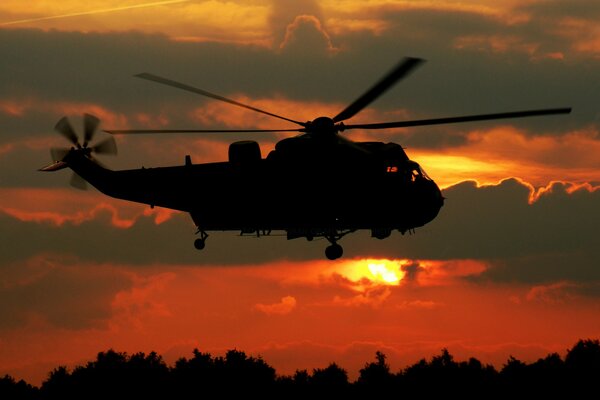 El helicóptero de transporte sea King vuela en el cielo al atardecer