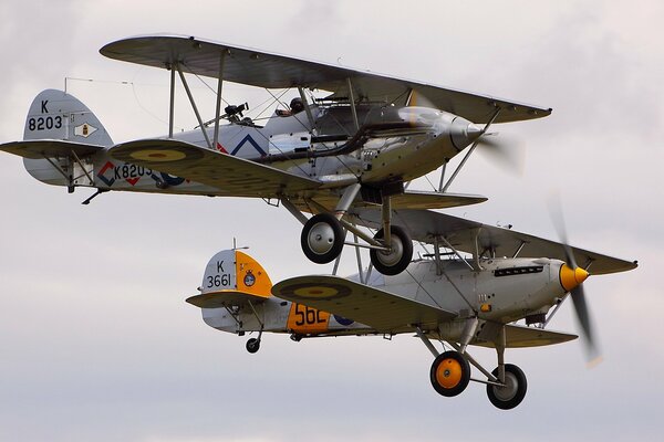 Dämon hawker Paar auf grauem Himmel Hintergrund