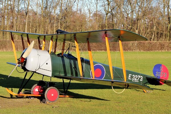 Avión biplaza británico en medio de un bosque y un campo