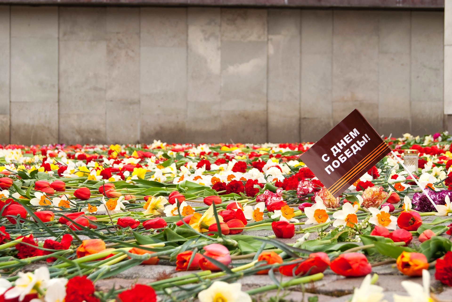 9 de mayo día de la victoria fiesta eterno memoria flores