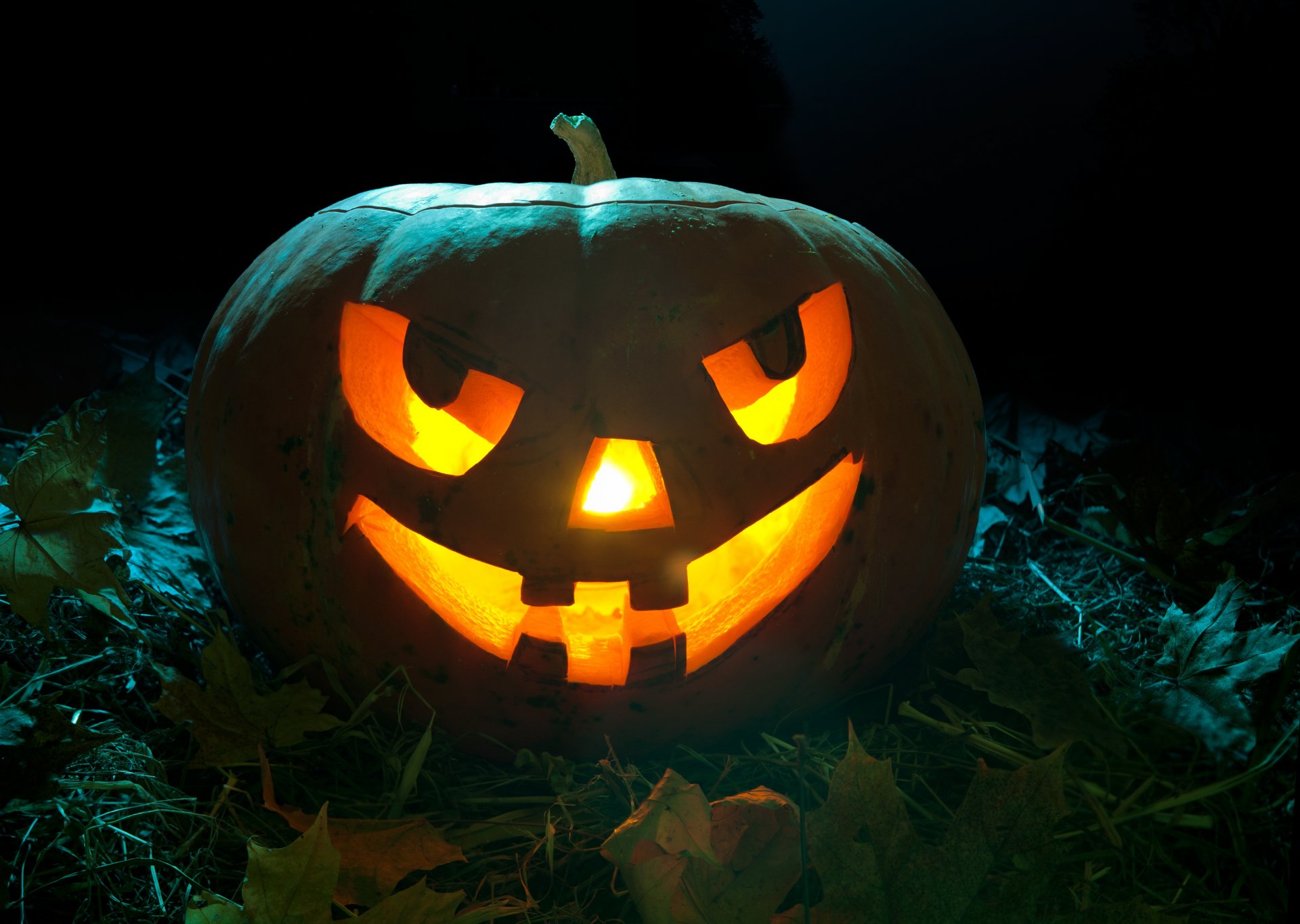 halloween citrouille nuit bougies sourire feuilles