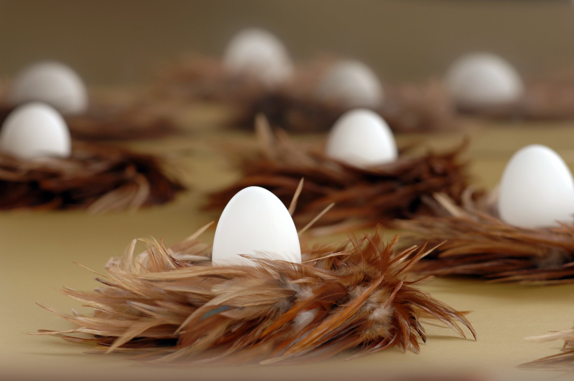 pascua huevos plumas