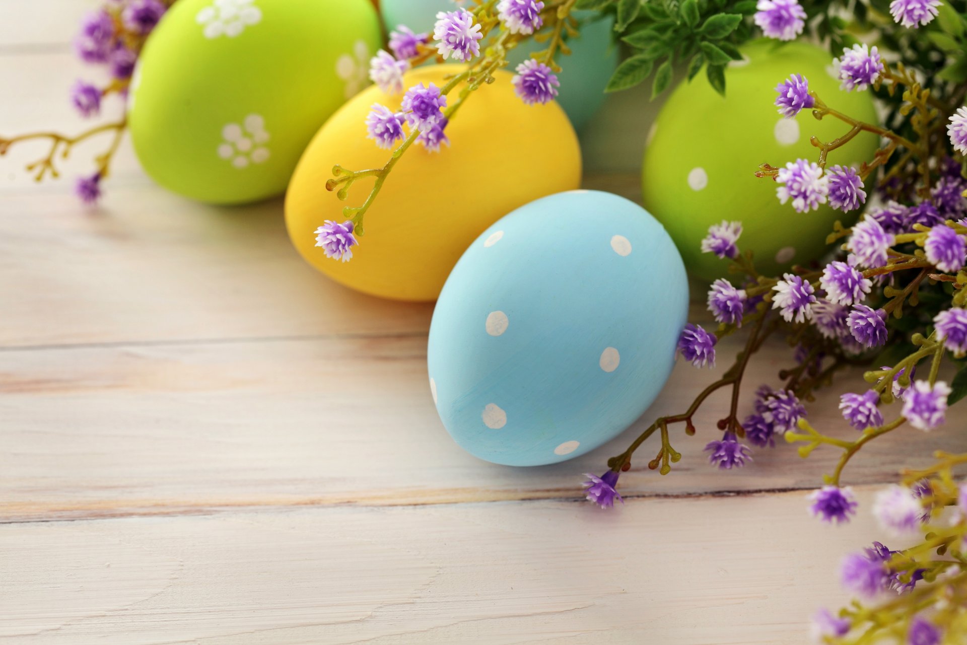 easter spring holiday eggs easter branch flower