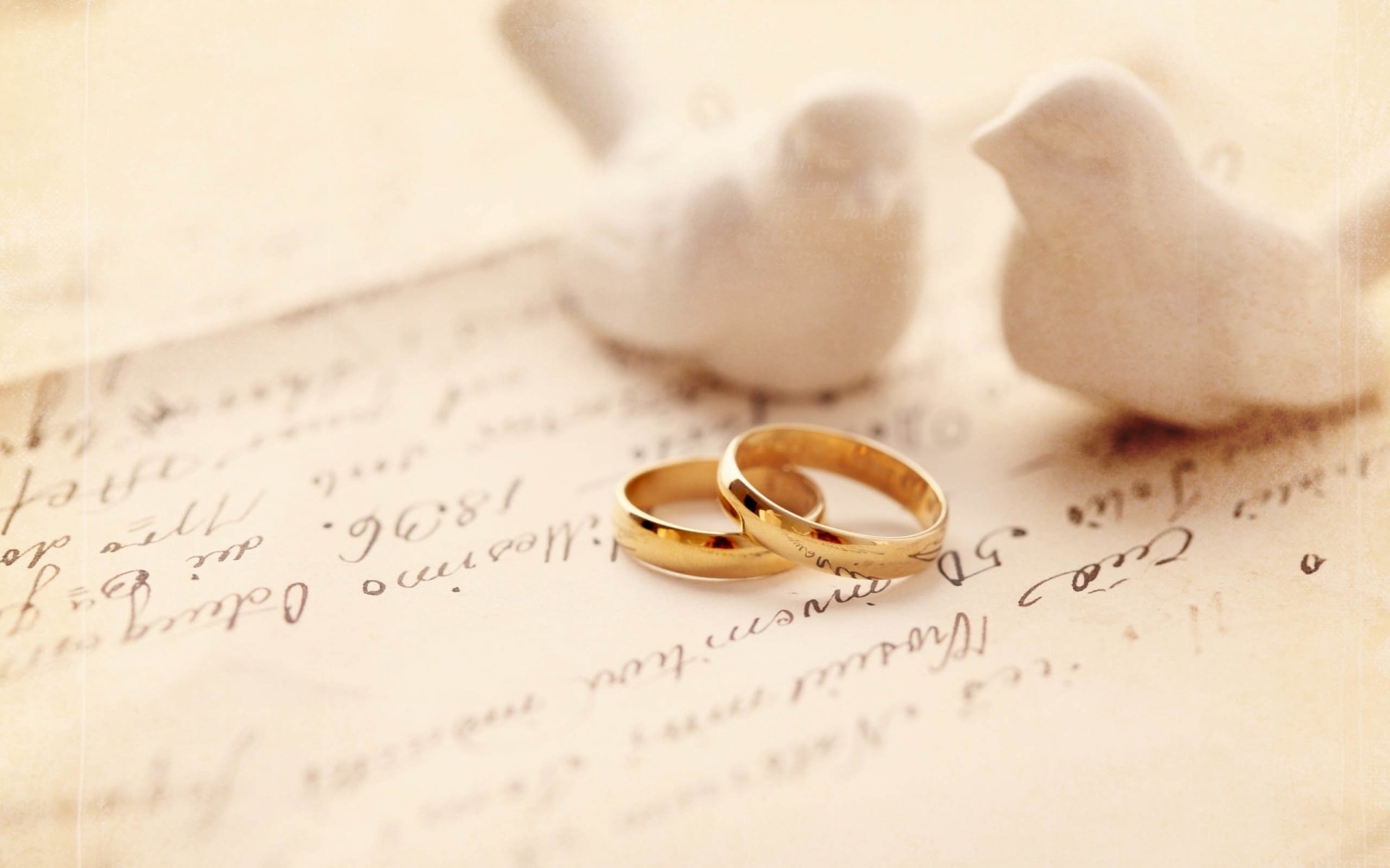 wedding rings wedding dove the pair