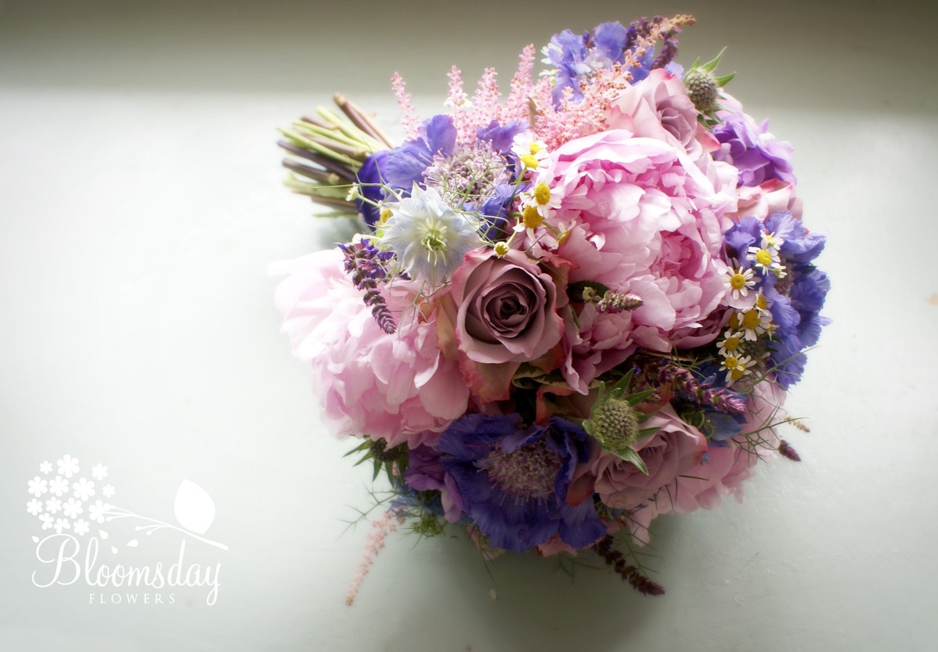 scabiose nigella kamille rosen pfingstrosen blumenstrauß komposition blumen