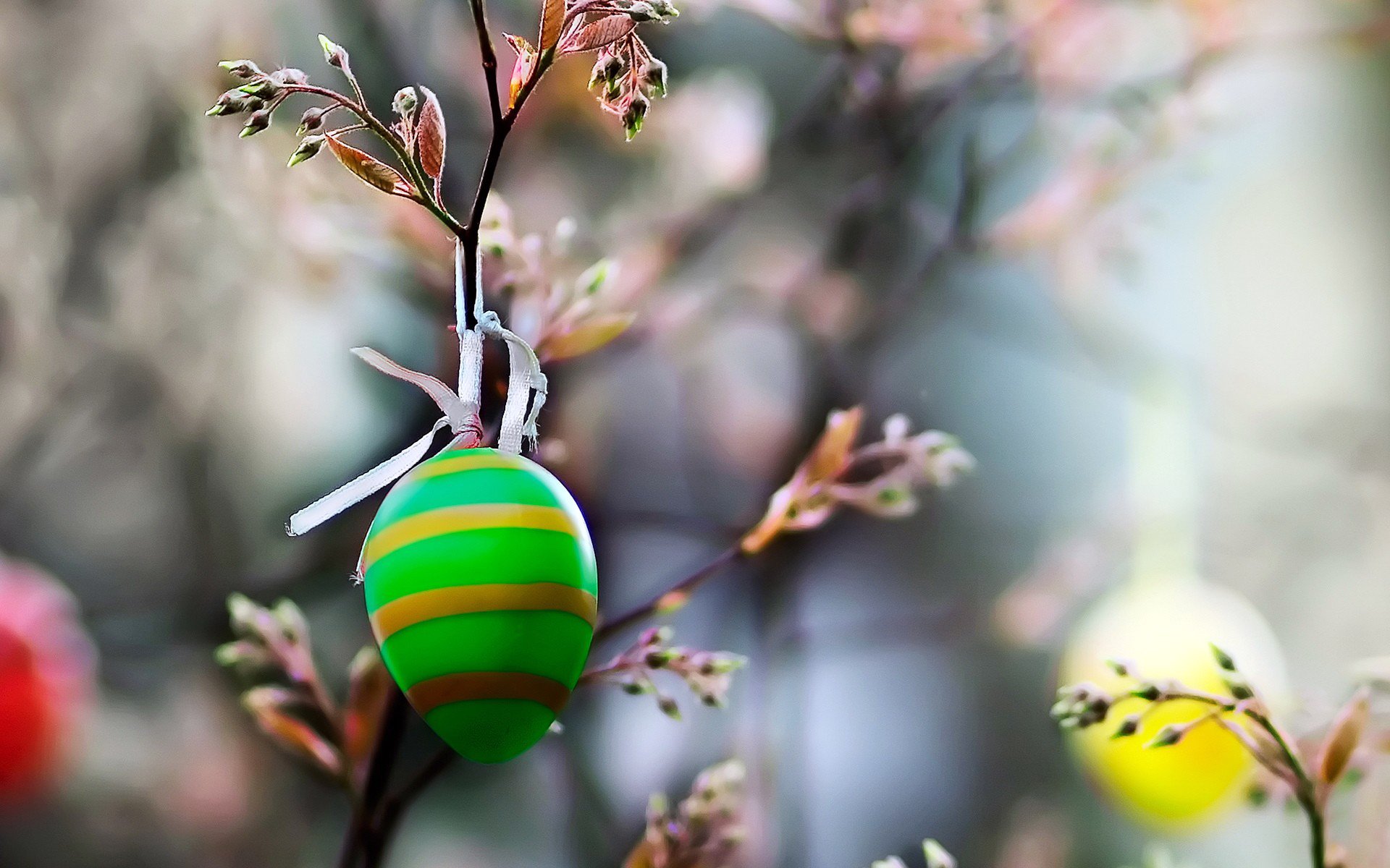 zweig gefärbt ei ostern makro natur