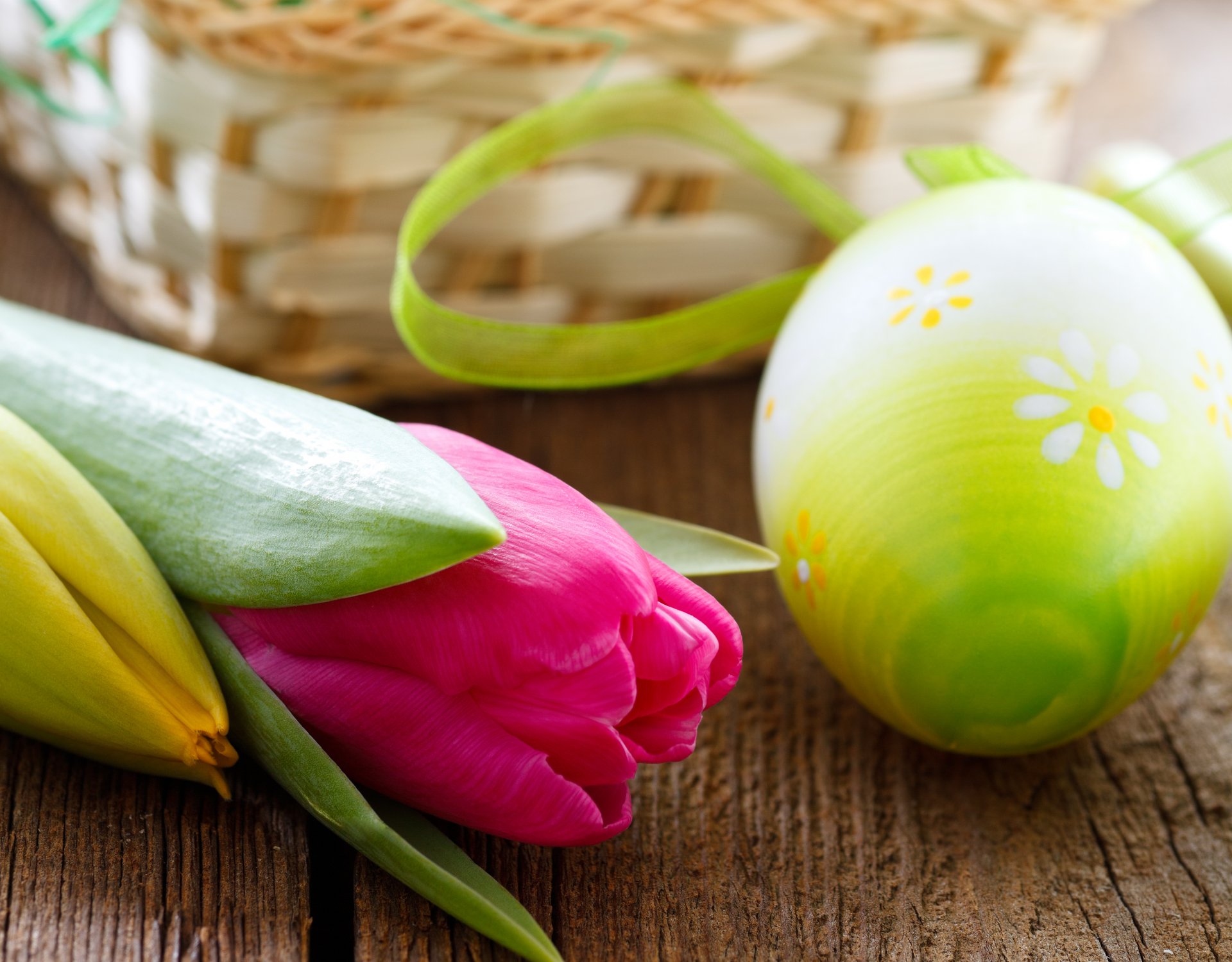 fiori tulipani bouquet uova pasqua pasqua