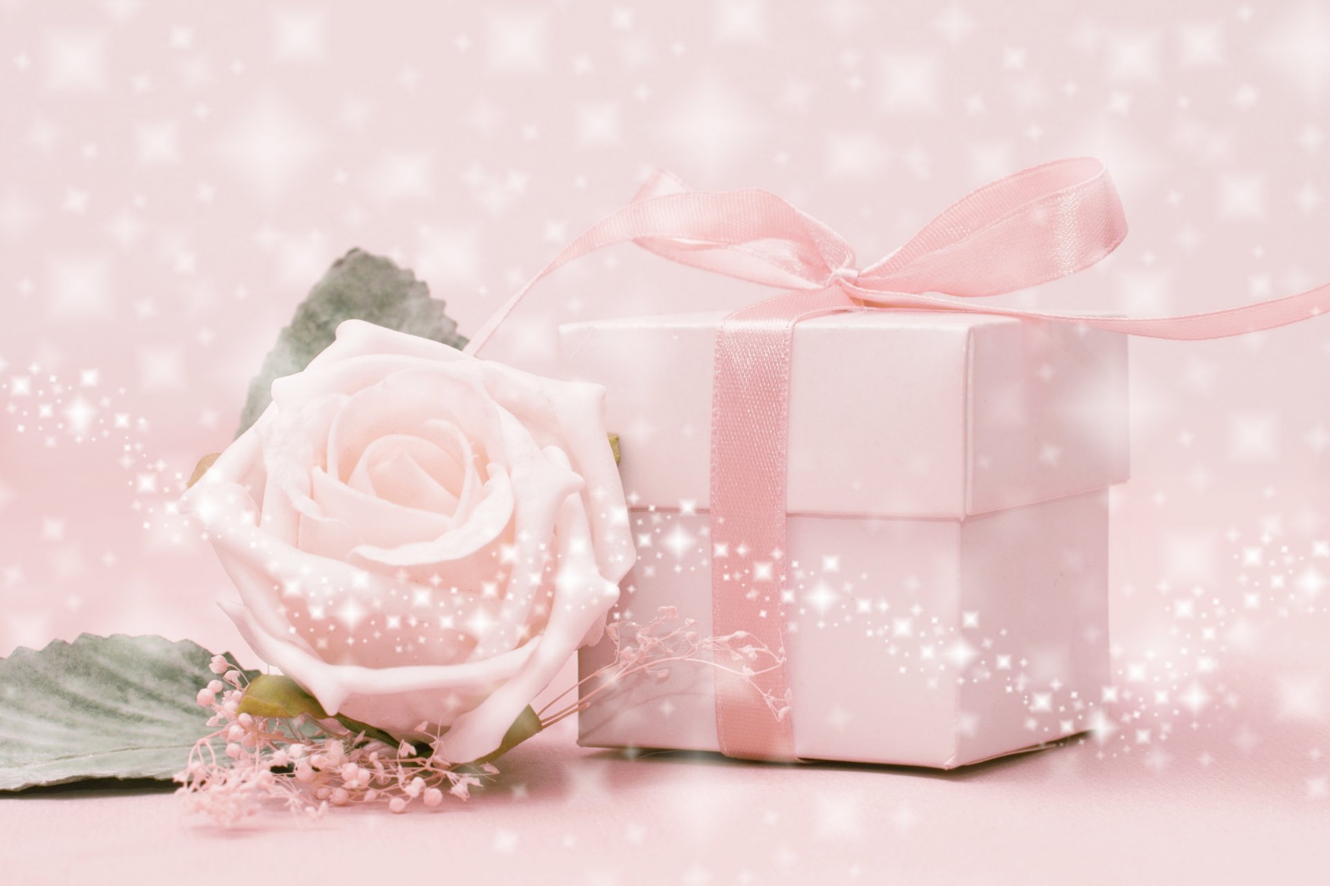 box . tape flower rose pink background