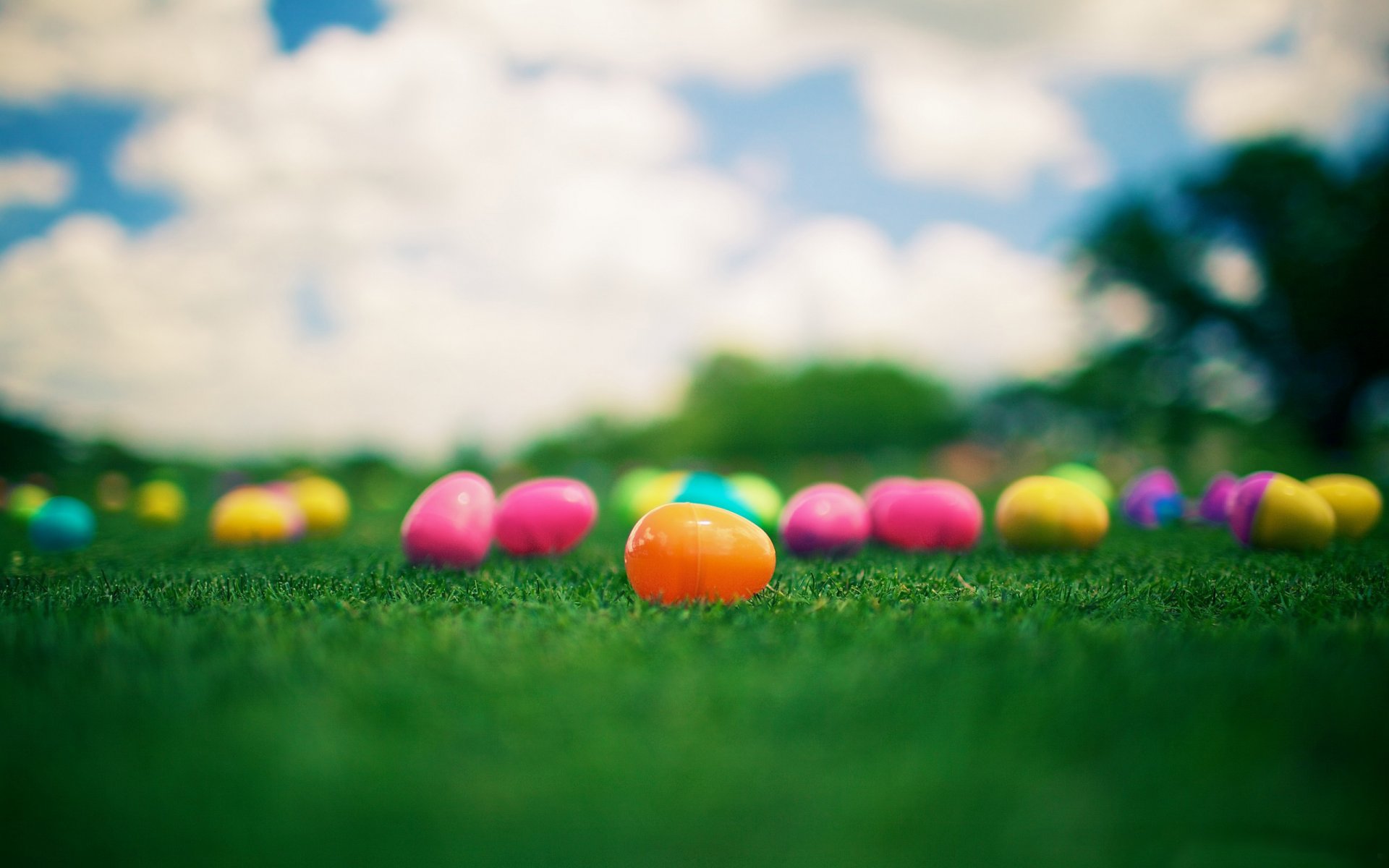 easter eggs multicolored grass kinder surprise kinder surprise