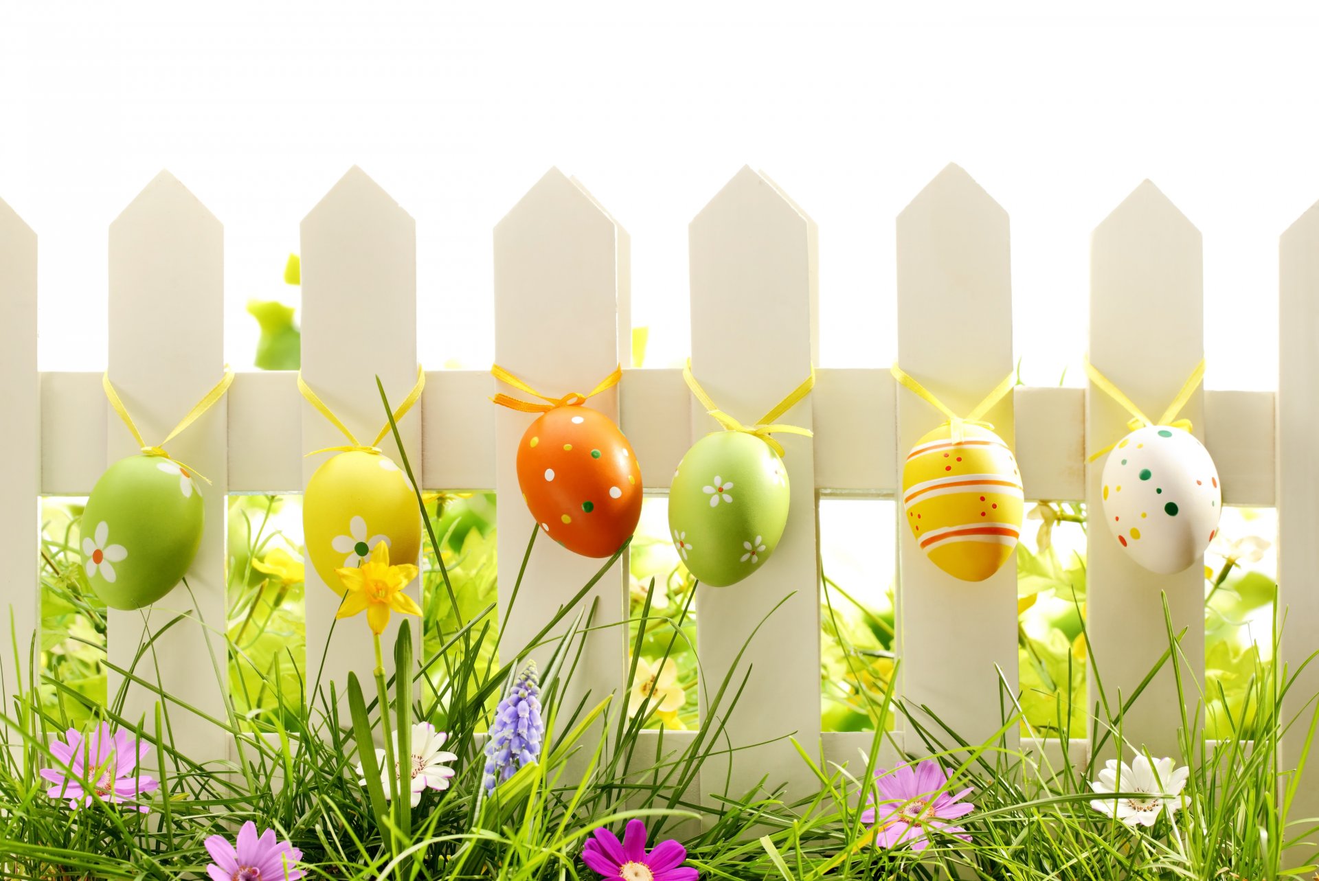 nature flower grass spring eggs easter